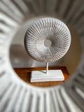 SET OF THREE CARVED CIRCLES LARGE 48CM