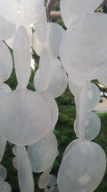 Windchime Shell and Wood White 42cm
