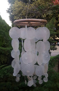 Windchime Shell and Wood White 42cm